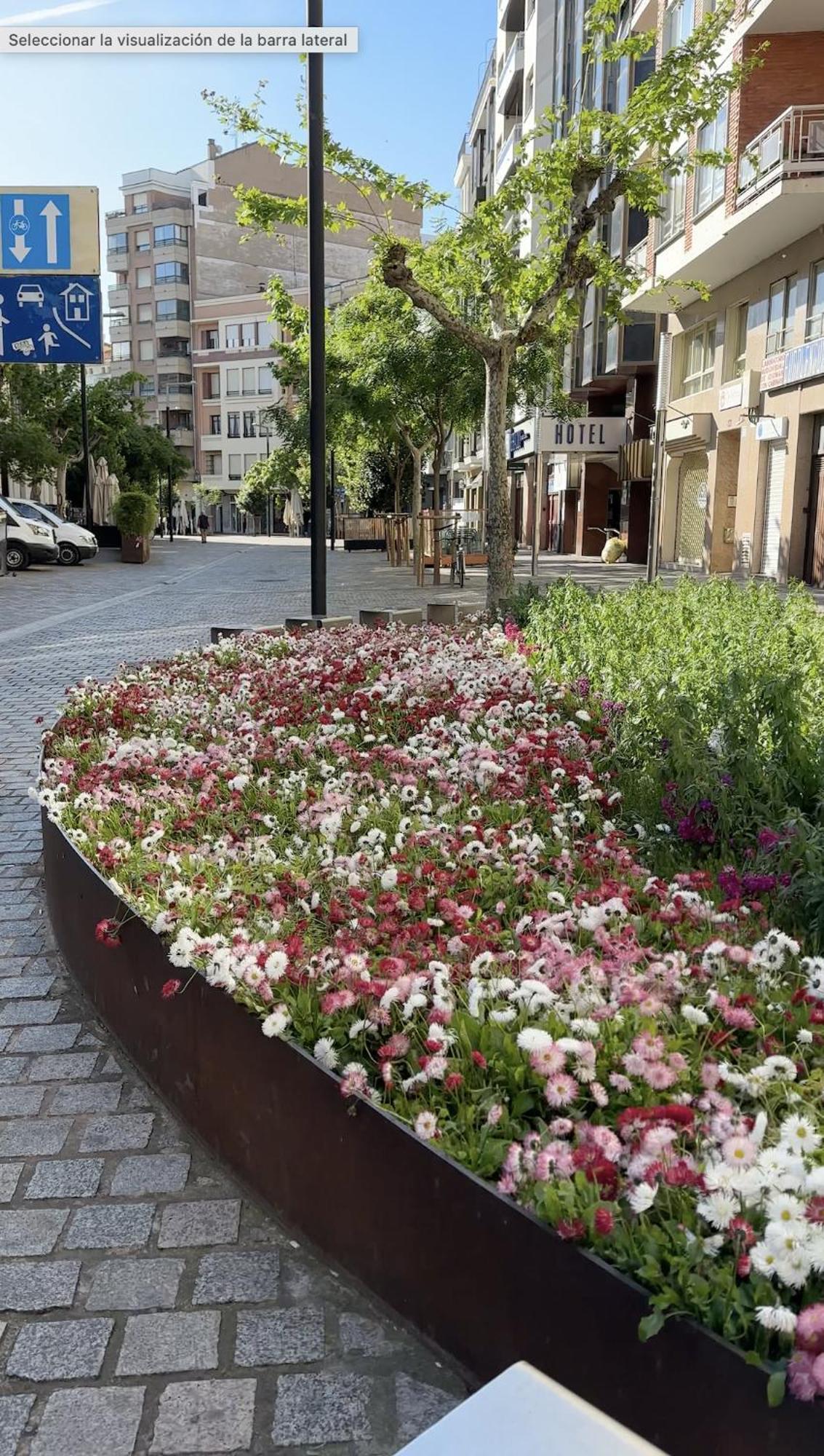 Esencia Del Casco Antiguo Apartment Логроньо Екстериор снимка